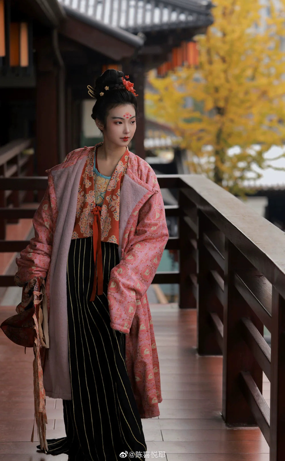 Zhijin Weimao 织锦帷帽 Wu Zhou Brocade Veiled Hat